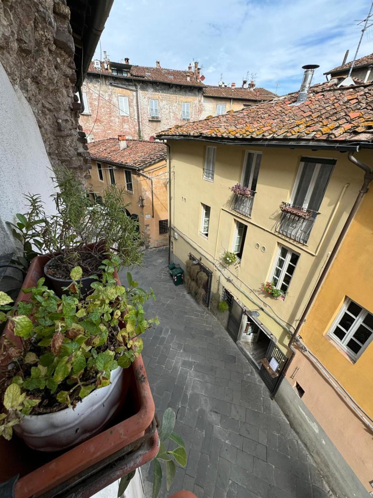 Family Two-Bedroom Apartment with View