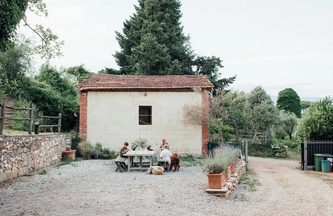 Buonvisi B&B-1
