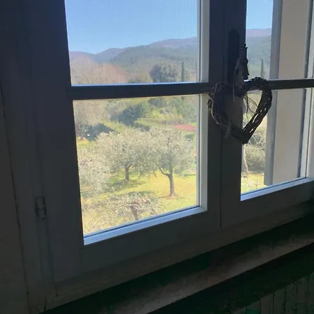 B&B I Ligustri-3