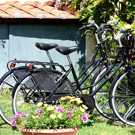 B&B Il Giardino Dei Poeti And Apartaments-3